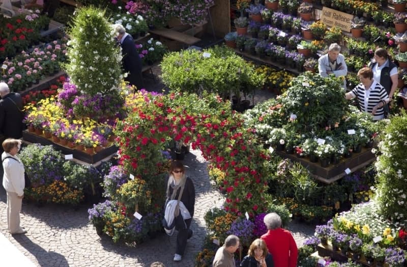 La festa dei fiori a Bolzano