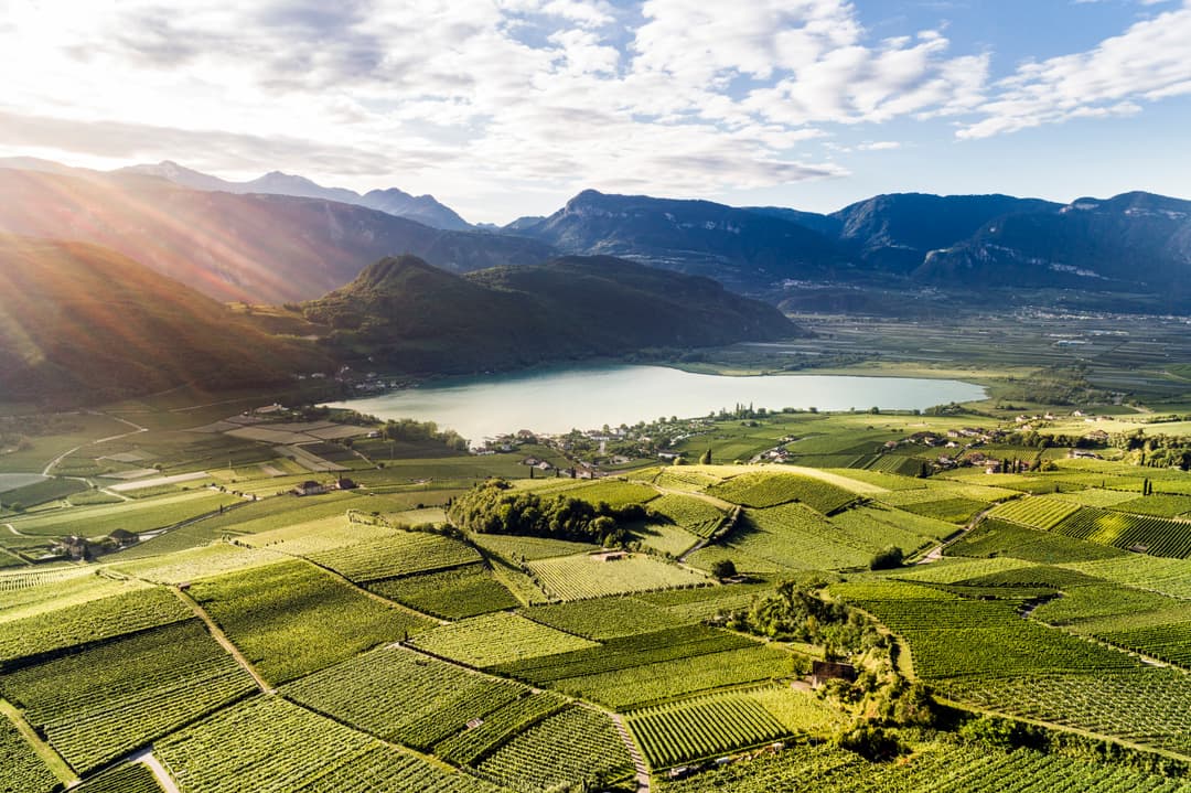 Strada del Vino