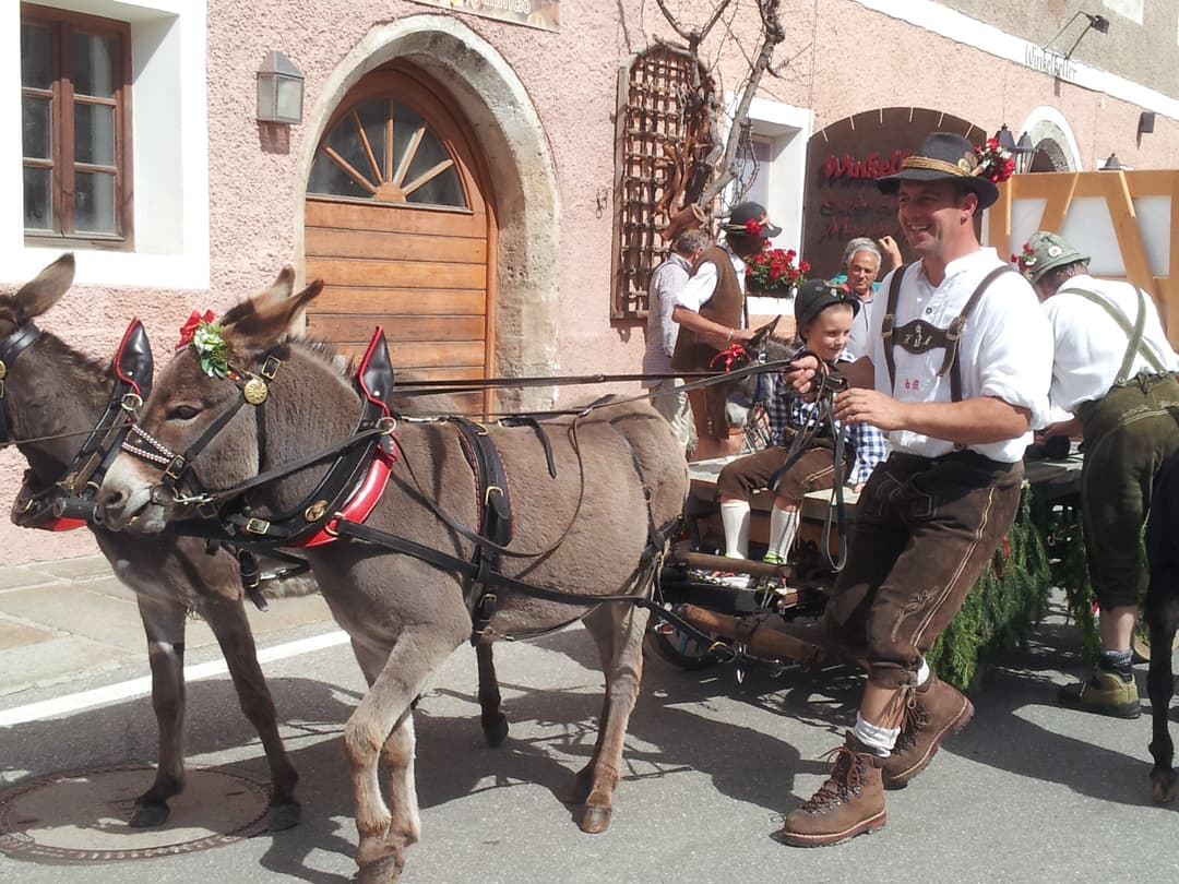 Transhumance and the Autumn Festival