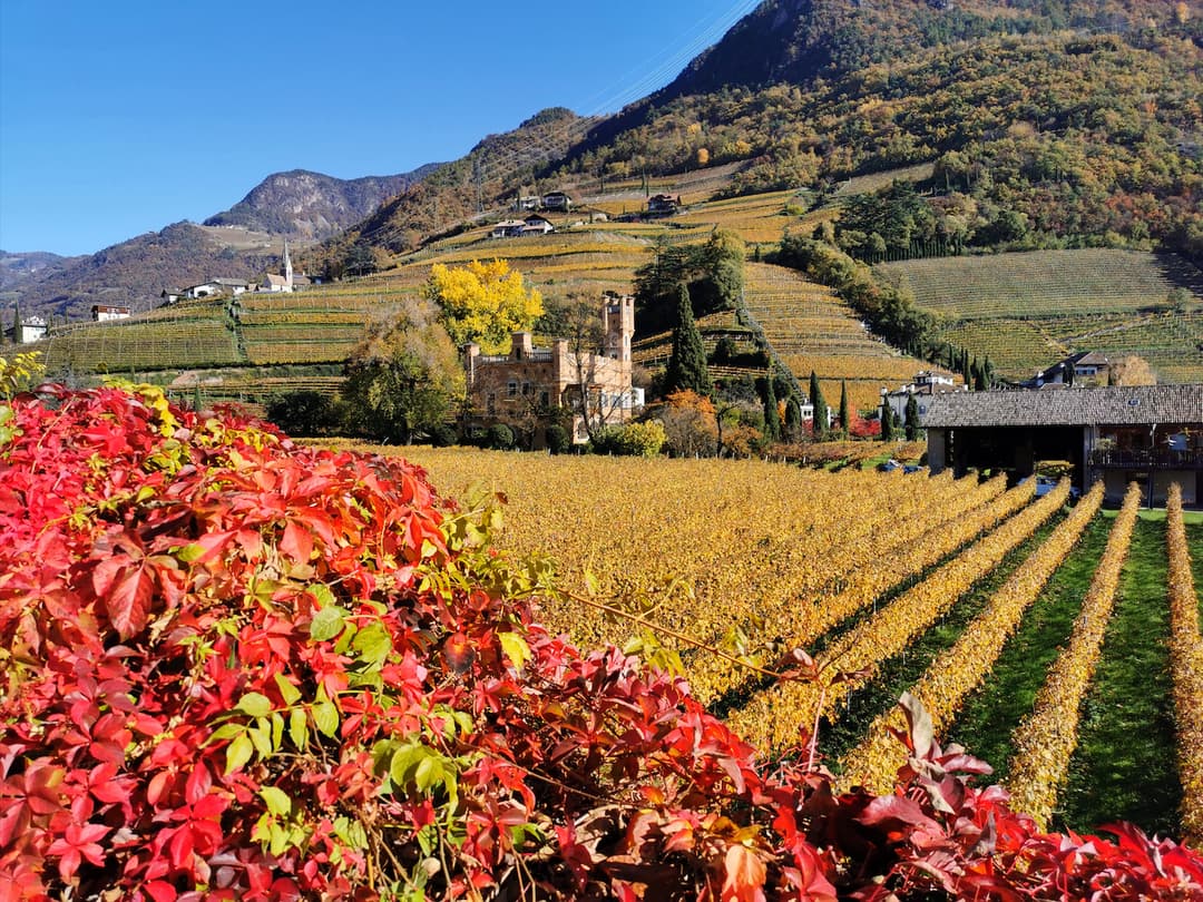 Bolzano - la passeggiata dei castelli