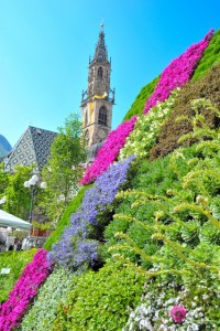 The flower festival in Bolzano